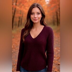 Aritzia Wilfred V-Neck Sweater in dark  Purple, size XS/S  stretches quite a bit